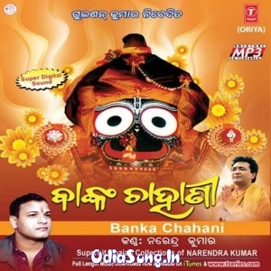 Dhanya Tora Banka Chahani Tote Gadhichi Keun Bindhani.mp3