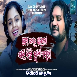 Prema Tora Paiba Pain Kichi Swartha Nathila.mp3