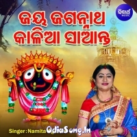 Jaya Jagannatha Kalia Saanta.mp3