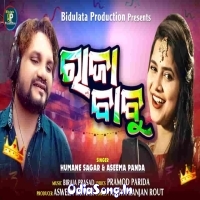 Raja Babu (Odia Dance Song)