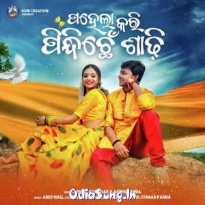 Pahela Kari Pindhichhe Sadhi.mp3