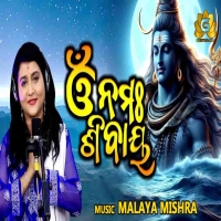 Omm Namah Shivaya.mp3