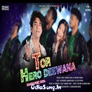 Tor Hero Deewana.mp3