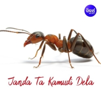 Jandata Kamudi Dela