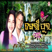 Dangari Phula.mp3