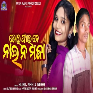 Tor Pyar Ne Nai Na Maja.mp3