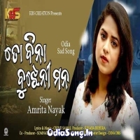 To Bina Bujheni Mana (Amrita Nayak)