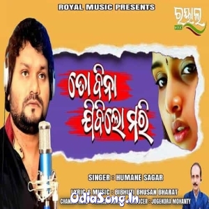 To Bina Jibi Lo Mari (Humane Sagar).mp3