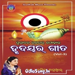 Radhe Krushna Radhe Krushna (Namita Agrawal).mp3