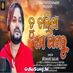 Tu Chalija Mo Pakharu New Odia Dhoka.mp3