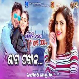 Saga Pakhala (Kahibini Tate I Love You).mp3