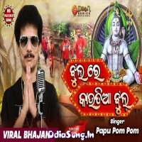 Jhul Re Kaudia Jhul Odia Bolbum Bhajan