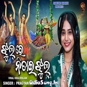 Jhul Re Nitai Jhul Pragyan Hota.mp3