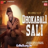 Dhoka Bali Sali Sambalpuri Romantic Itom Song