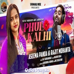 Phul Kalhi.mp3